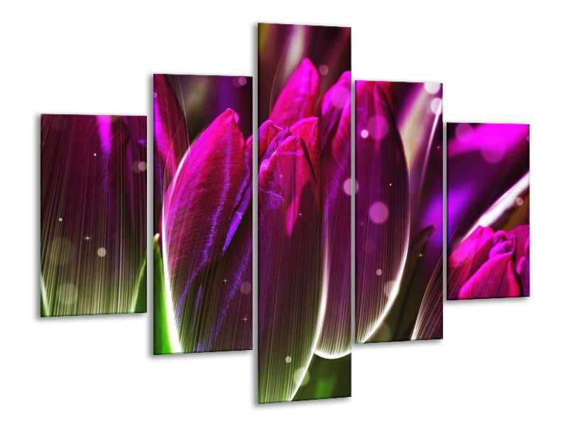 Canvas schilderij Tulp | Paars, Groen | 100x70cm 5Luik