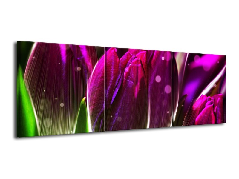 Canvas schilderij Tulp | Paars, Groen | 120x40cm 3Luik