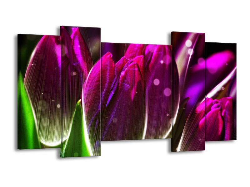 Canvas schilderij Tulp | Paars, Groen | 120x65 5Luik