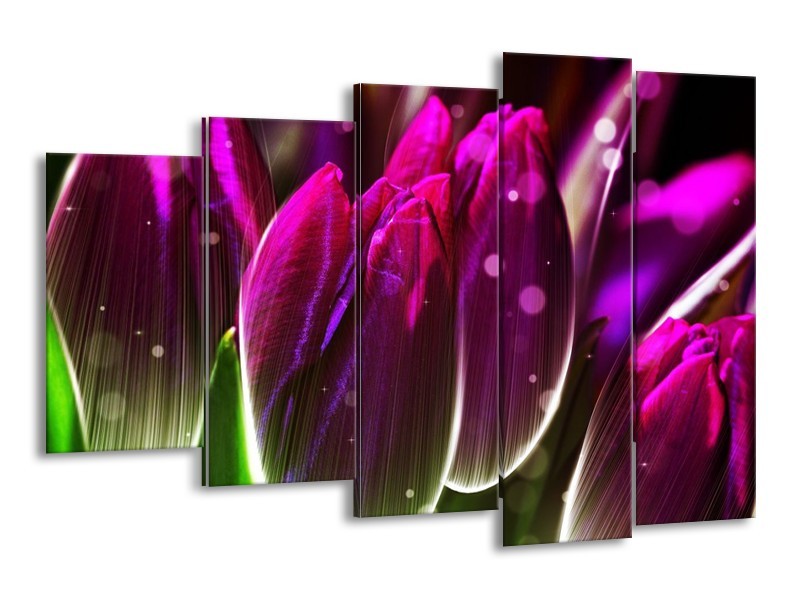 Canvas schilderij Tulp | Paars, Groen | 150x100cm 5Luik