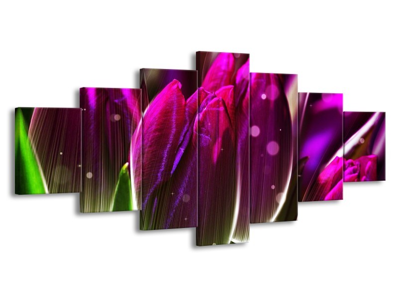 Canvas schilderij Tulp | Paars, Groen | 210x100cm 7Luik