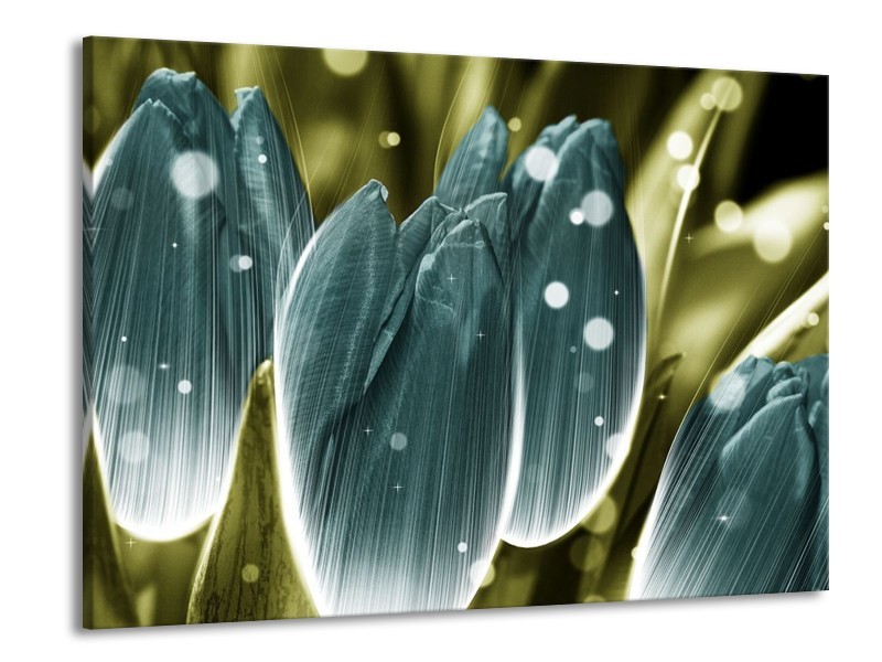 Canvas schilderij Tulp | Blauw, Grijs | 100x70cm 1Luik