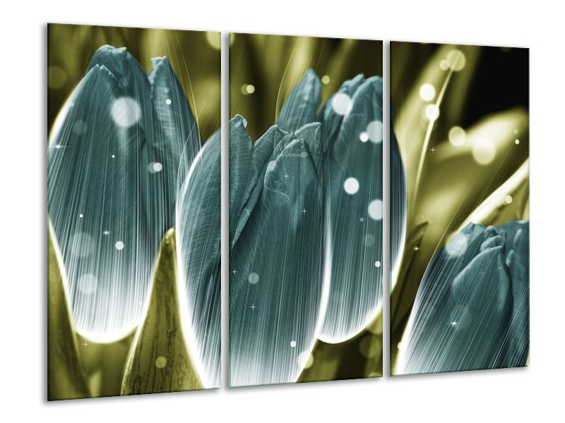 Canvas schilderij Tulp | Blauw, Grijs | 120x80cm 3Luik
