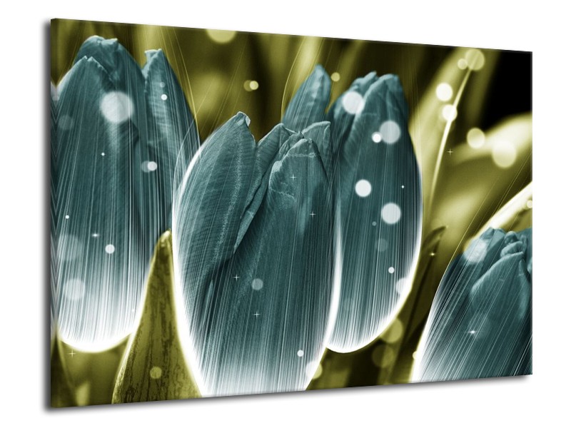 Canvas schilderij Tulp | Blauw, Grijs | 70x50cm 1Luik