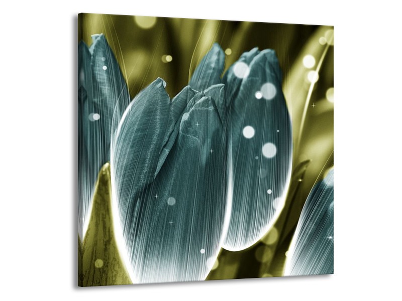 Canvas schilderij Tulp | Blauw, Grijs | 70x70cm 1Luik