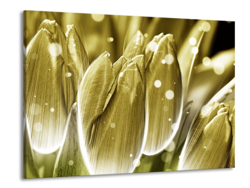 Canvas schilderij Tulp | Goud, Wit | 100x70cm 1Luik