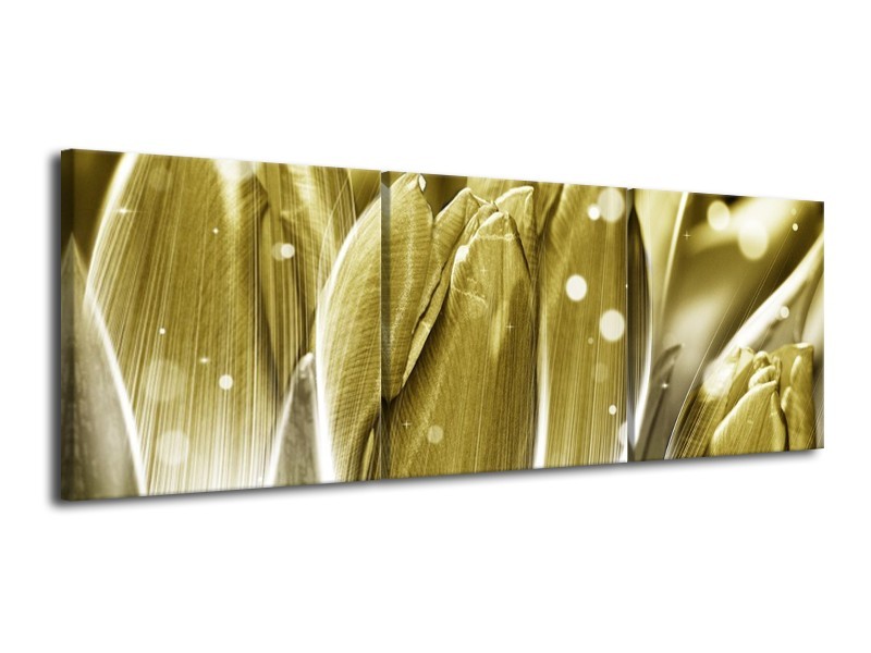 Canvas schilderij Tulp | Goud, Wit | 120x40cm 3Luik