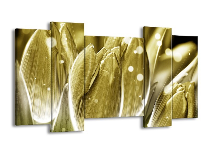 Canvas schilderij Tulp | Goud, Wit | 120x65 5Luik