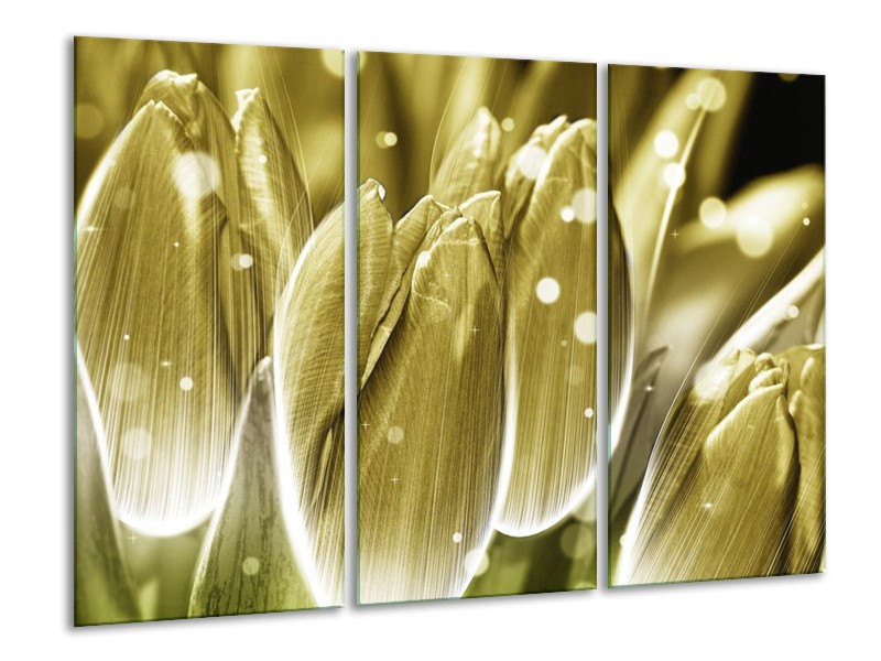 Canvas schilderij Tulp | Goud, Wit | 120x80cm 3Luik