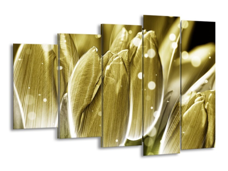 Canvas schilderij Tulp | Goud, Wit | 150x100cm 5Luik