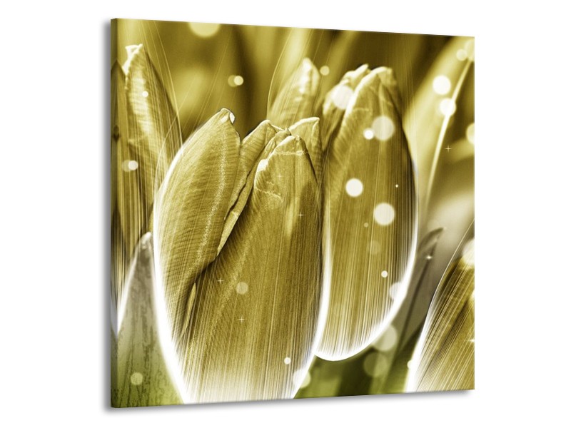 Canvas schilderij Tulp | Goud, Wit | 50x50cm 1Luik