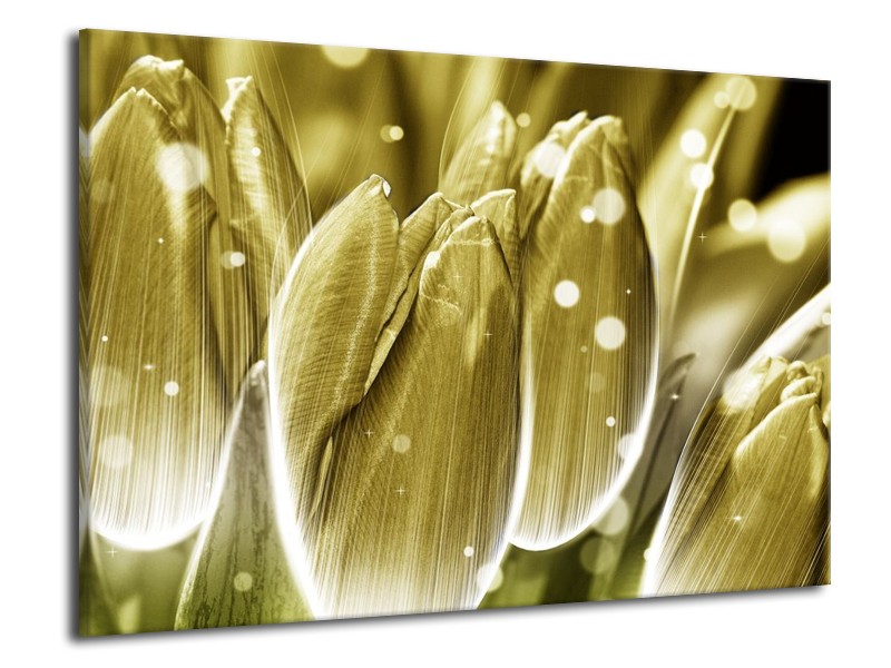 Canvas schilderij Tulp | Goud, Wit | 70x50cm 1Luik