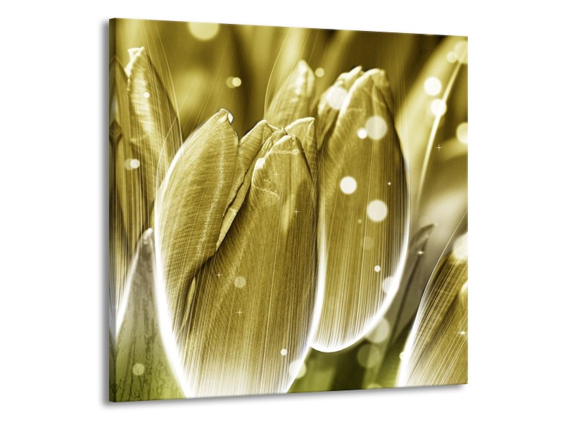 Canvas schilderij Tulp | Goud, Wit | 70x70cm 1Luik