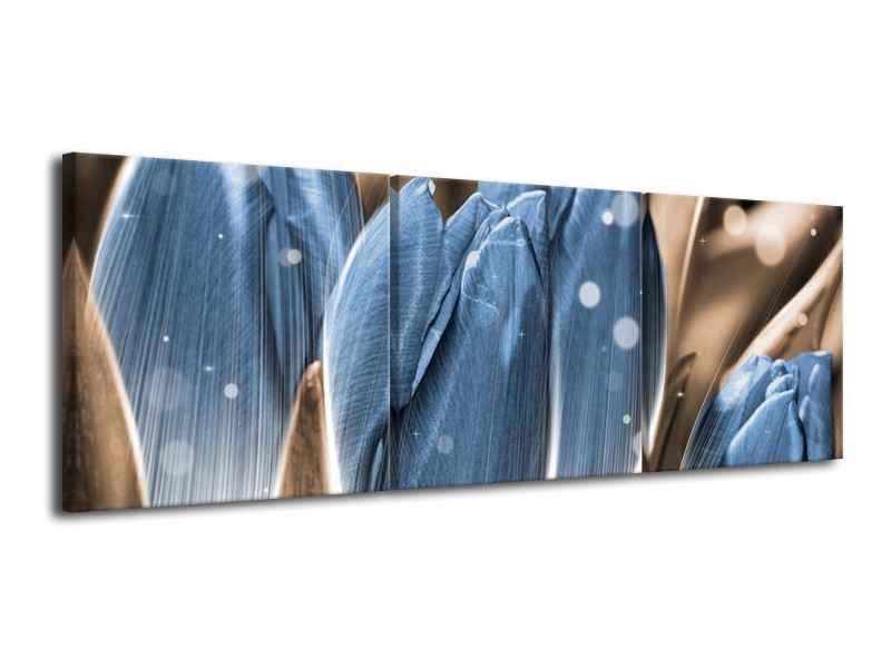 Canvas schilderij Tulp | Blauw, Grijs | 120x40cm 3Luik
