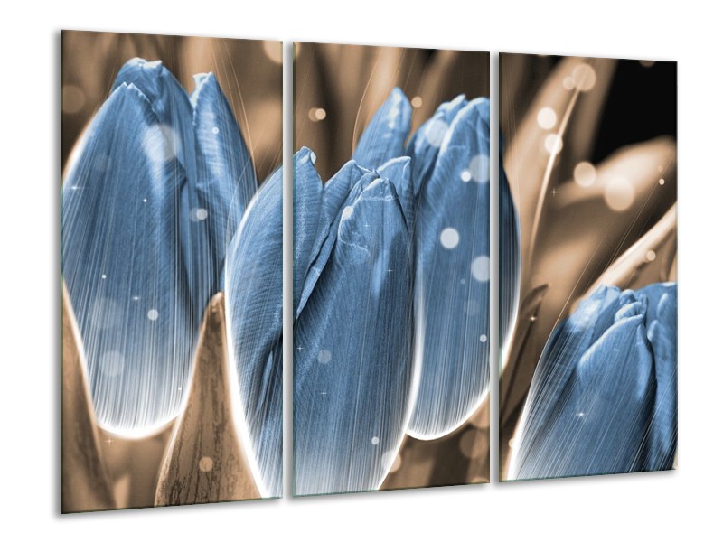 Canvas schilderij Tulp | Blauw, Grijs | 120x80cm 3Luik