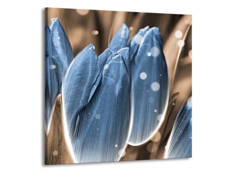 Canvas schilderij Tulp | Blauw, Grijs | 50x50cm 1Luik