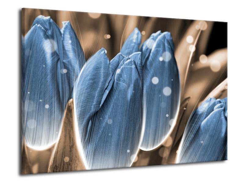 Canvas schilderij Tulp | Blauw, Grijs | 70x50cm 1Luik