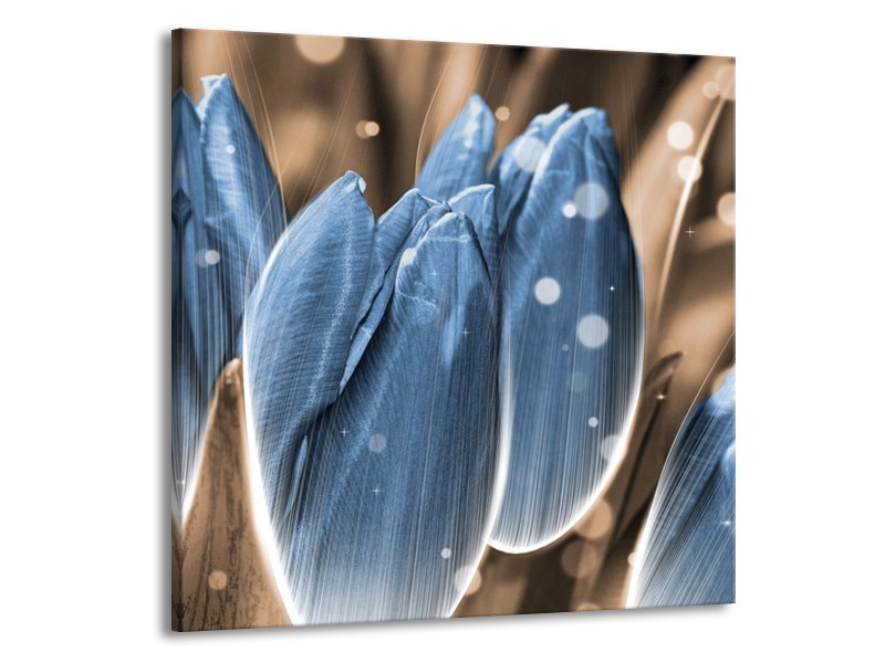 Canvas schilderij Tulp | Blauw, Grijs | 70x70cm 1Luik