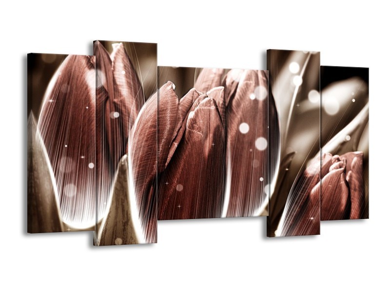 Canvas schilderij Tulp | Bruin, Wit | 120x65 5Luik