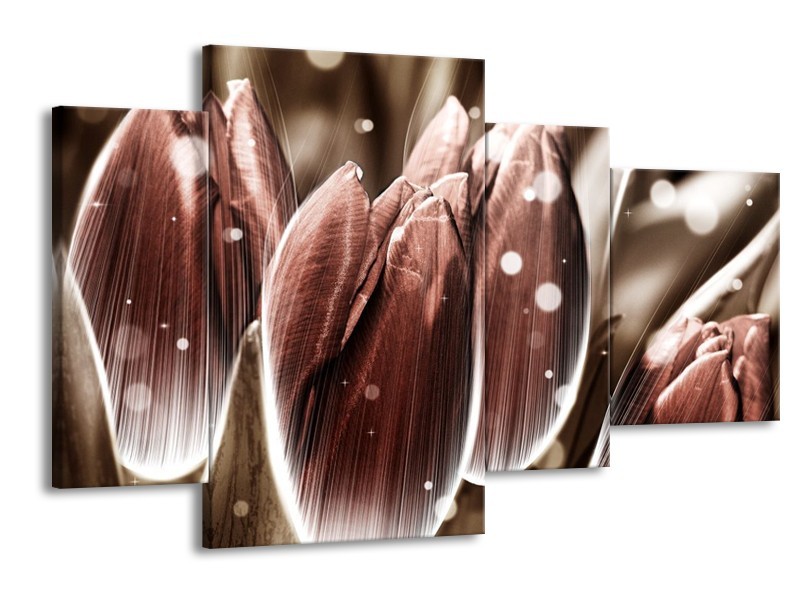 Canvas schilderij Tulp | Bruin, Wit | 120x75cm 4Luik