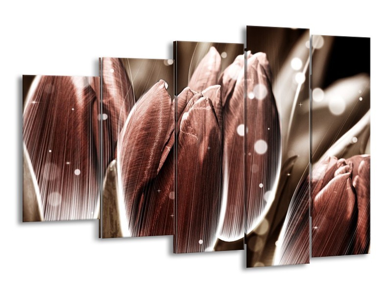 Canvas schilderij Tulp | Bruin, Wit | 150x100cm 5Luik