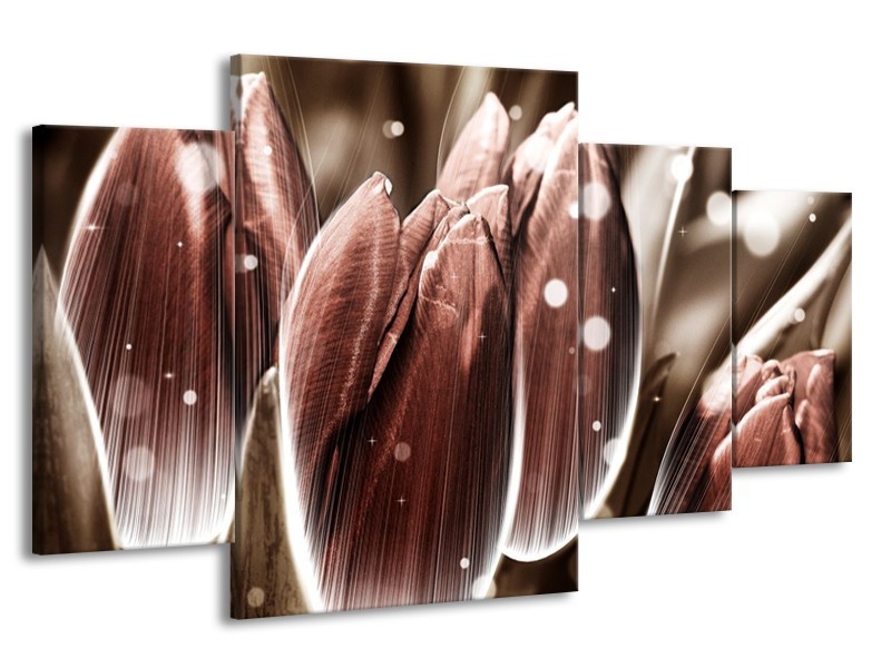 Canvas schilderij Tulp | Bruin, Wit | 160x90cm 4Luik