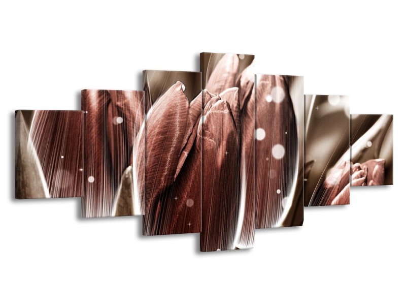 Canvas schilderij Tulp | Bruin, Wit | 210x100cm 7Luik