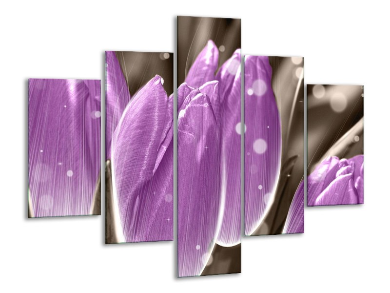Canvas schilderij Tulp | Paars, Grijs | 100x70cm 5Luik