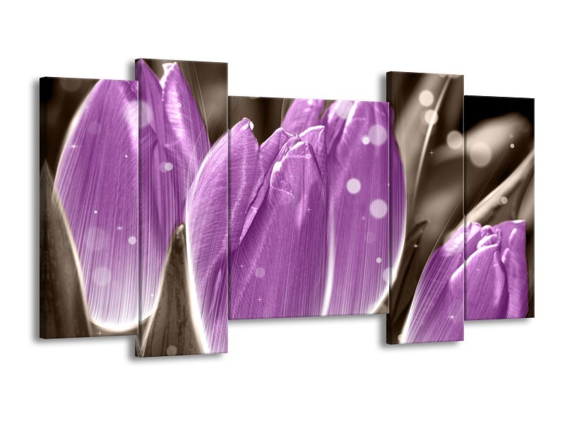 Canvas schilderij Tulp | Paars, Grijs | 120x65 5Luik