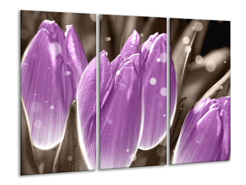 Canvas schilderij Tulp | Paars, Grijs | 120x80cm 3Luik