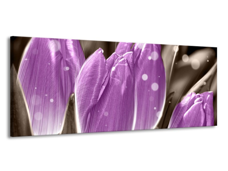 Canvas schilderij Tulp | Paars, Grijs | 145x58cm 1Luik