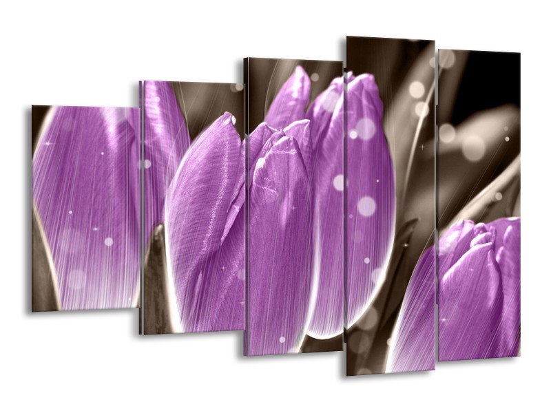 Canvas schilderij Tulp | Paars, Grijs | 150x100cm 5Luik