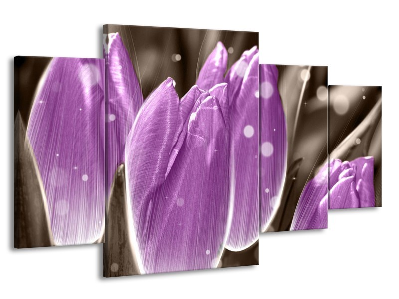 Canvas schilderij Tulp | Paars, Grijs | 160x90cm 4Luik
