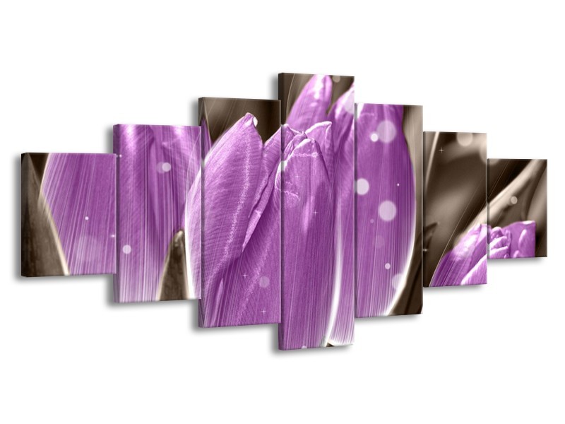 Canvas schilderij Tulp | Paars, Grijs | 210x100cm 7Luik