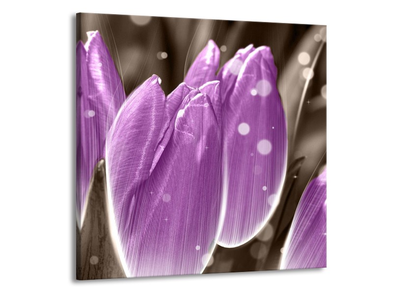 Canvas schilderij Tulp | Paars, Grijs | 50x50cm 1Luik