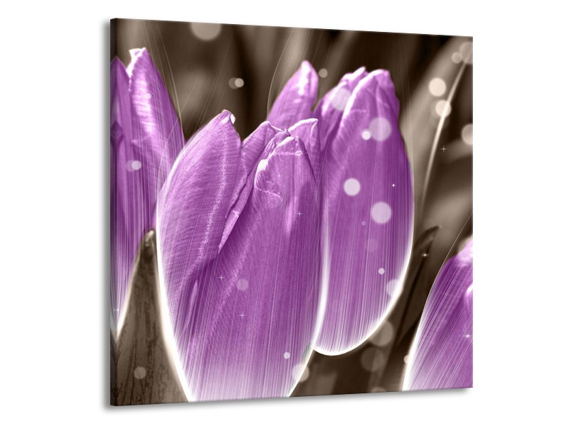 Canvas schilderij Tulp | Paars, Grijs | 70x70cm 1Luik