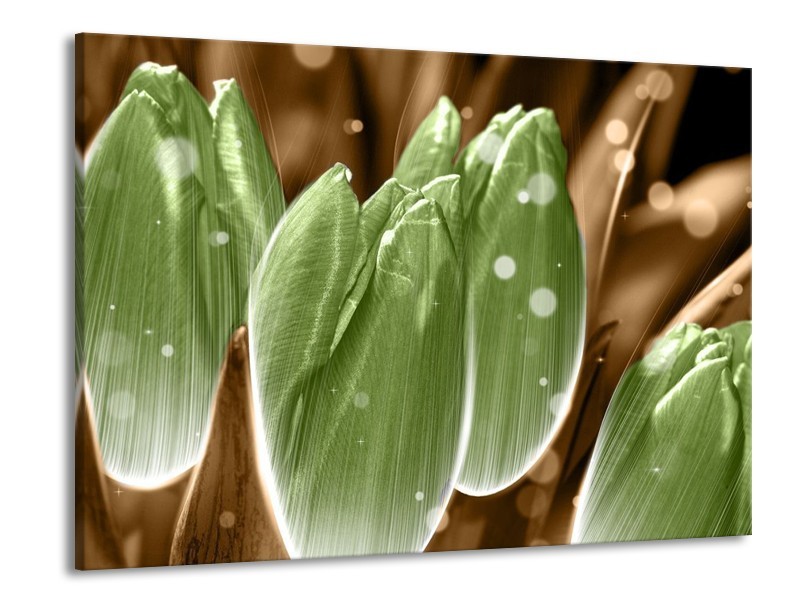 Canvas schilderij Tulp | Groen, Bruin | 100x70cm 1Luik