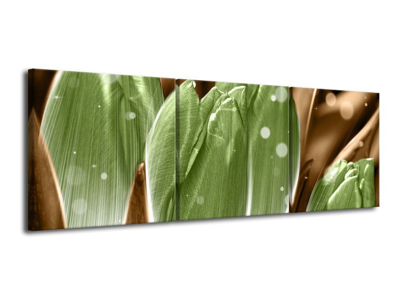 Canvas schilderij Tulp | Groen, Bruin | 120x40cm 3Luik