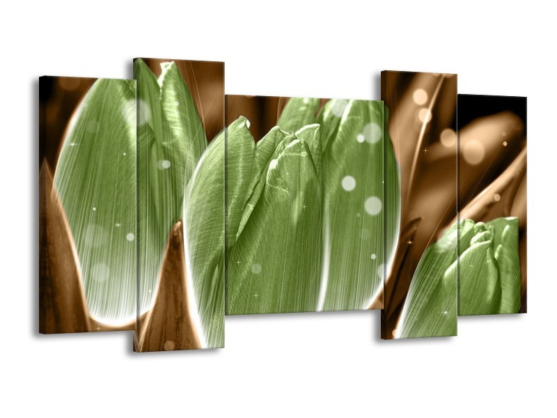 Canvas schilderij Tulp | Groen, Bruin | 120x65 5Luik