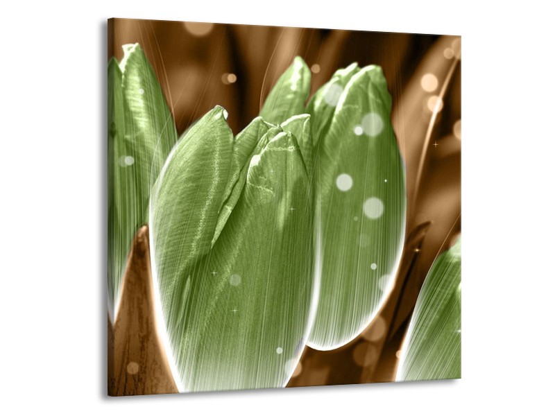Canvas schilderij Tulp | Groen, Bruin | 50x50cm 1Luik