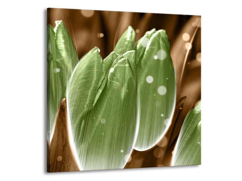 Canvas schilderij Tulp | Groen, Bruin | 70x70cm 1Luik