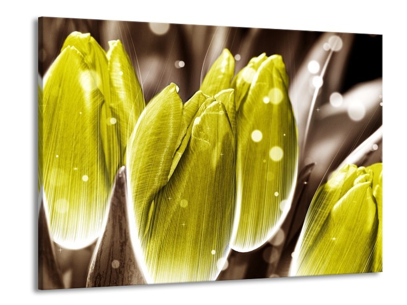 Canvas schilderij Tulp | Geel, Grijs | 100x70cm 1Luik
