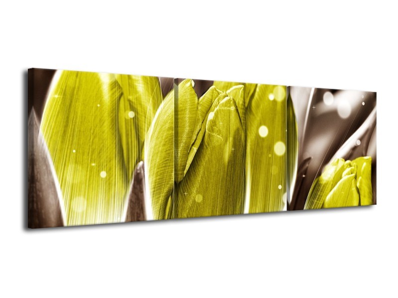 Canvas schilderij Tulp | Geel, Grijs | 120x40cm 3Luik