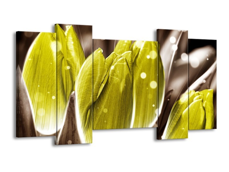 Canvas schilderij Tulp | Geel, Grijs | 120x65 5Luik