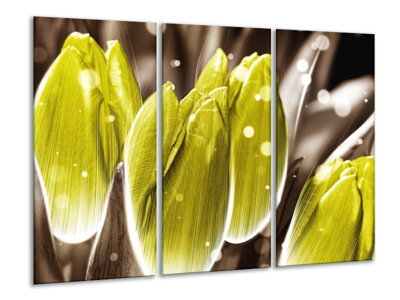 Canvas schilderij Tulp | Geel, Grijs | 120x80cm 3Luik
