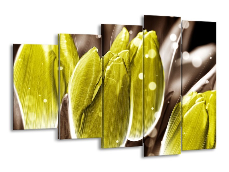 Canvas schilderij Tulp | Geel, Grijs | 150x100cm 5Luik