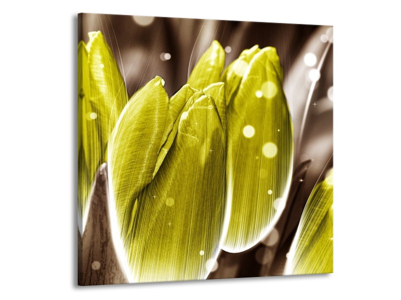 Canvas schilderij Tulp | Geel, Grijs | 50x50cm 1Luik