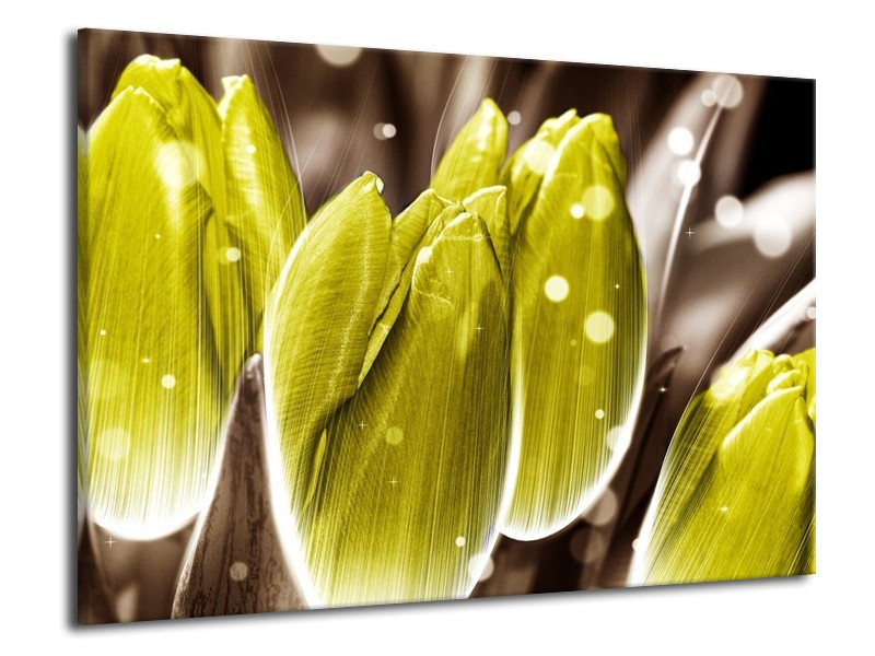 Canvas schilderij Tulp | Geel, Grijs | 70x50cm 1Luik