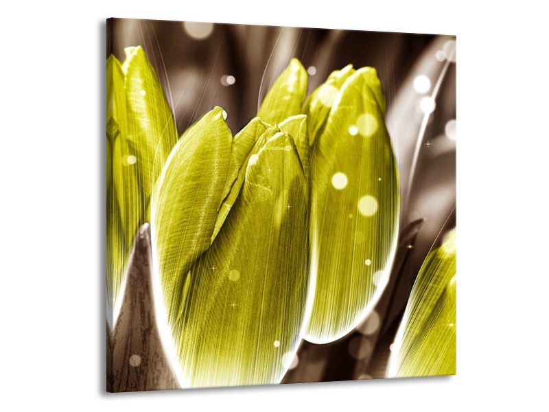 Canvas schilderij Tulp | Geel, Grijs | 70x70cm 1Luik