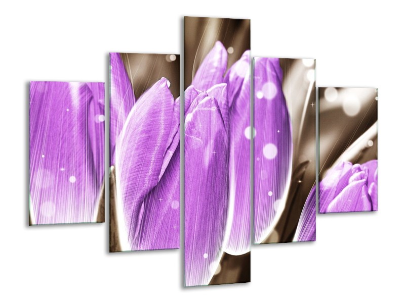 Canvas schilderij Tulp | Paars, Grijs | 100x70cm 5Luik